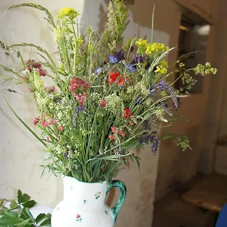 Homestay Gastehaus Weinviertel - Niederosterreich *