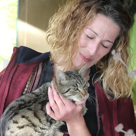 Gaestehaus Weinviertel - Niederoesterreich Siebenhirten