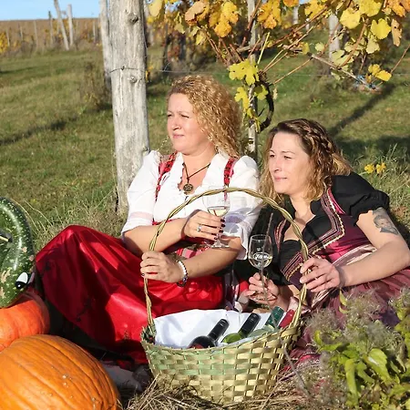 Gastehaus Weinviertel - Niederosterreich Homestay *