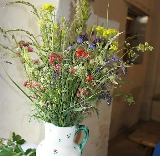 Séjour chez l'habitant Gaestehaus Weinviertel - Niederoesterreich *
