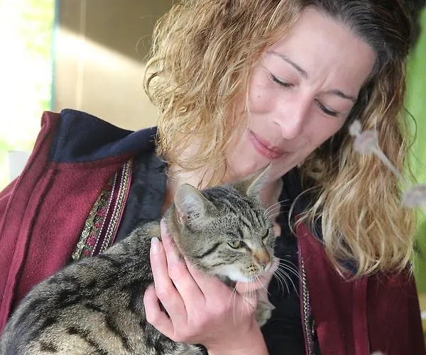 Gaestehaus Weinviertel - Niederoesterreich Siebenhirten